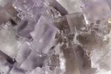 Purple Cubic Fluorite Crystals With Phantoms - Cave-In-Rock #192003-5